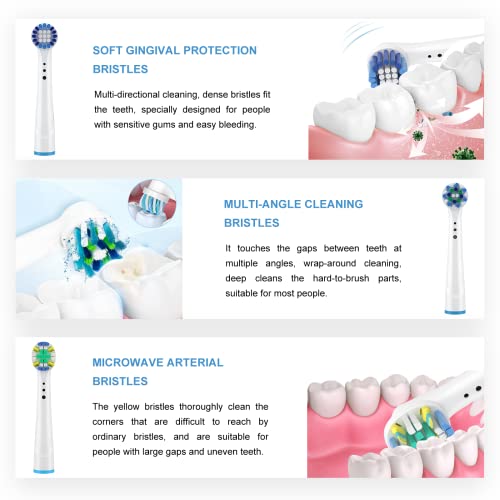 SetSail Toothbrush Heads 10 Pack Electric Toothbrush Replacement Heads for Or...