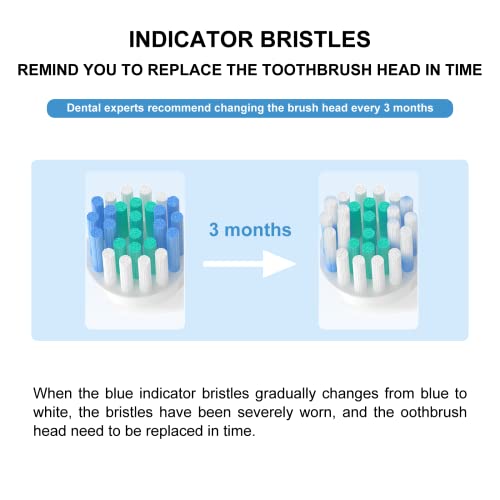 SetSail Toothbrush Heads 10 Pack Electric Toothbrush Replacement Heads for Or...
