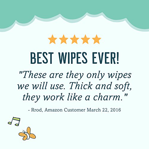 Seventh Generation Baby Wipes, Free & Clear with Flip Top Dispenser, White, u...