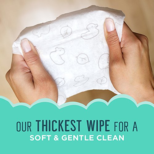 Seventh Generation Baby Wipes, Free & Clear with Flip Top Dispenser, White, u...