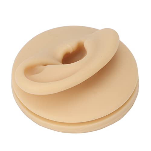 Right Acupuncture Ear Model, Ear Model Life-size for Educational Science Kits...