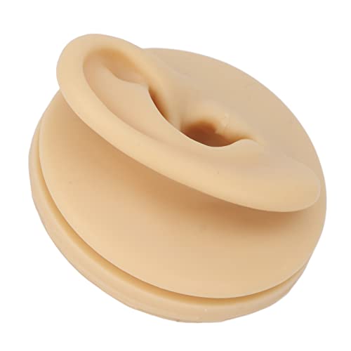 Right Acupuncture Ear Model, Ear Model Life-size for Educational Science Kits...