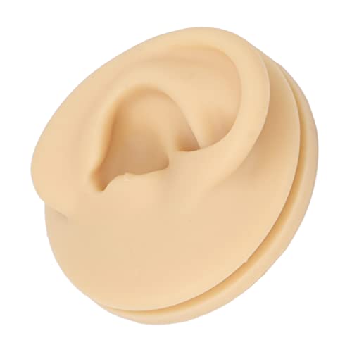 Right Acupuncture Ear Model, Ear Model Life-size for Educational Science Kits...