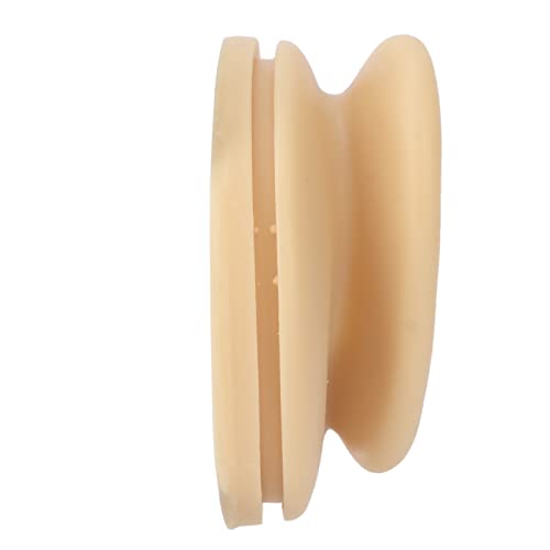 Right Acupuncture Ear Model, Ear Model Life-size for Educational Science Kits...