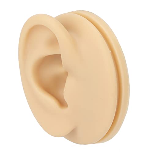 Right Acupuncture Ear Model, Ear Model Life-size for Educational Science Kits...