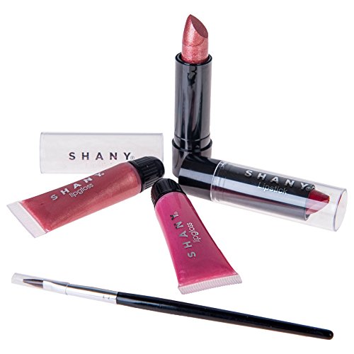 SHANY Carry All Trunk Makeup Set (Eye shadow palette/Blushes/Powder/Nail Poli...