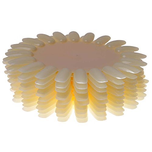 Shany Cosmetics Practice Nail Wheel Practice Nail Tips Wheels 220 False Nails...