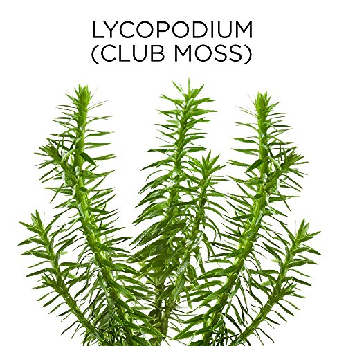 Similasan Ear Wax Removal Kit, 0.33 Ounce Bottle, Ear Drops with Bulb Syringe...