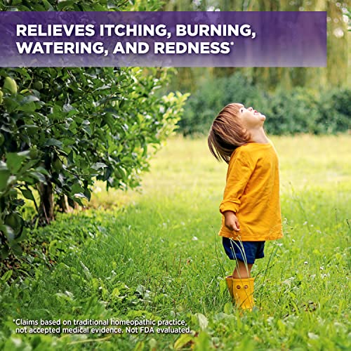 Similasan Kids Allergy Eye Relief Drops 0.33 Ounce, for Temporary Relief from...