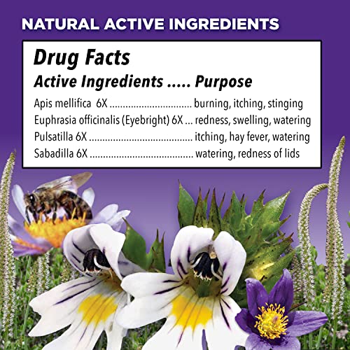 Similasan Kids Allergy Eye Relief Drops 0.33 Ounce, for Temporary Relief from...