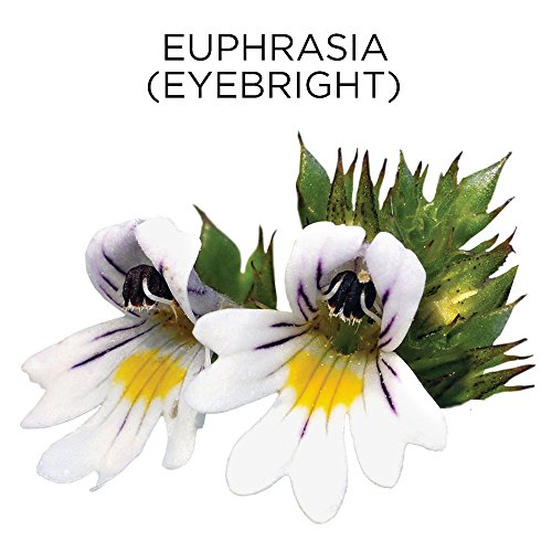 Similasan Kids Allergy Eye Relief Drops 0.33 Ounce, for Temporary Relief from...