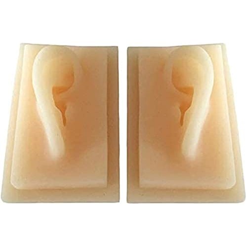 Anatomy Model, Silicone Ear Model - 1 Pair Silicone Ear Acupuncture Practice ...