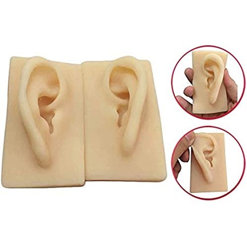 Anatomy Model, Silicone Ear Model - 1 Pair Silicone Ear Acupuncture Practice ...