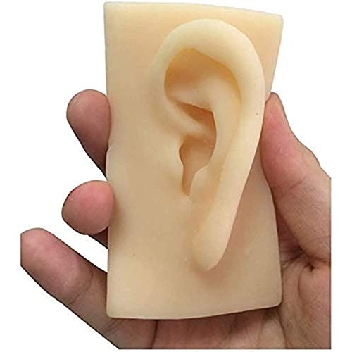 Anatomy Model, Silicone Ear Model - 1 Pair Silicone Ear Acupuncture Practice ...