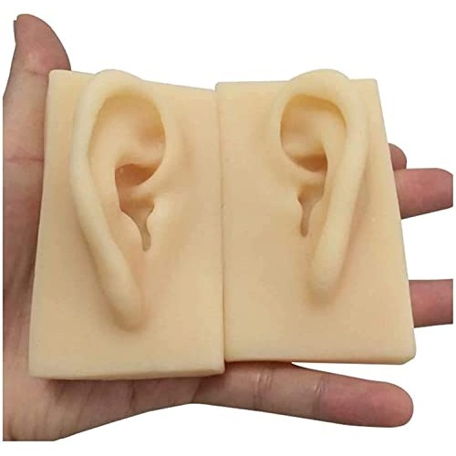 Anatomy Model, Silicone Ear Model - 1 Pair Silicone Ear Acupuncture Practice ...