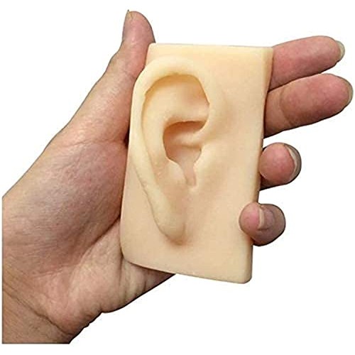 Anatomy Model, Silicone Ear Model - 1 Pair Silicone Ear Acupuncture Practice ...