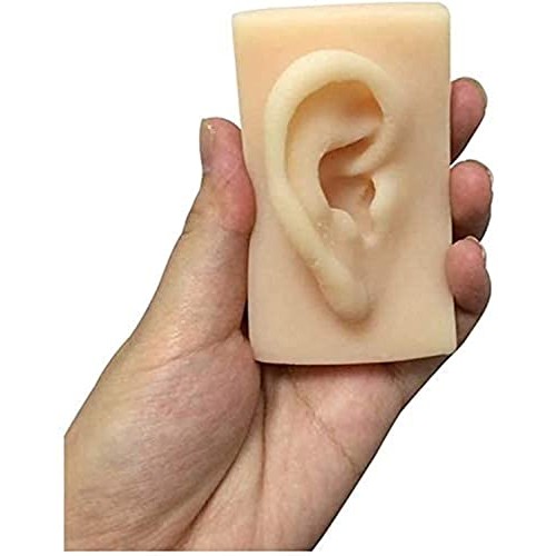 Anatomy Model, Silicone Ear Model - 1 Pair Silicone Ear Acupuncture Practice ...