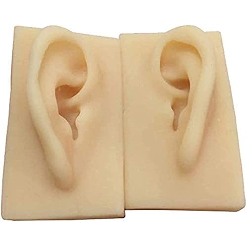 Anatomy Model, Silicone Ear Model - 1 Pair Silicone Ear Acupuncture Practice ...