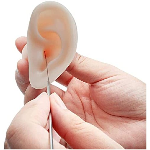 Anatomy Model, Soft Silicone Ear Model - Artificial Simulation Human Ear - Ea...
