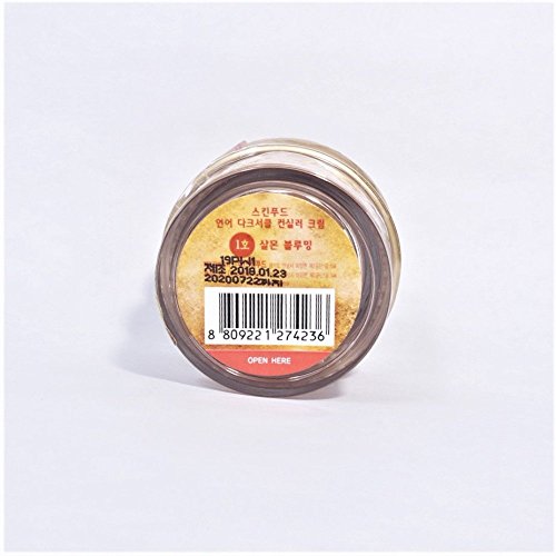 SKINFOOD Salmon Dark Circle Concealer Cream #1 - Concealer for Dark Circles -...