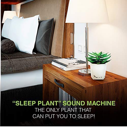 Sleep Plant - Sound Machine - Fan Sounds - White Noise - Nature Sounds