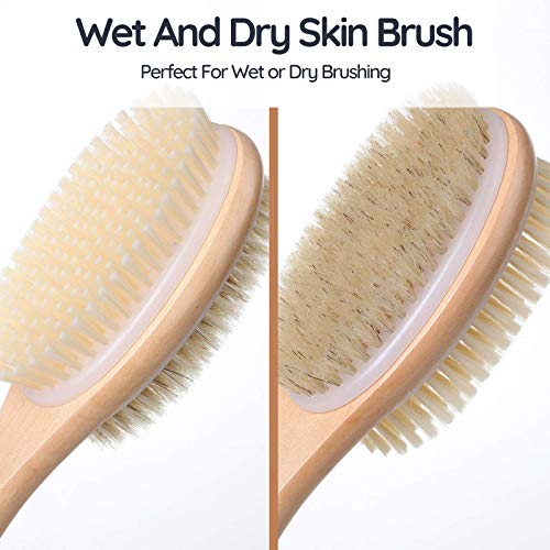 Slick- Shower Brush, Double Sided Brush, Back Scrubber, Bath Brush, Back Brus...