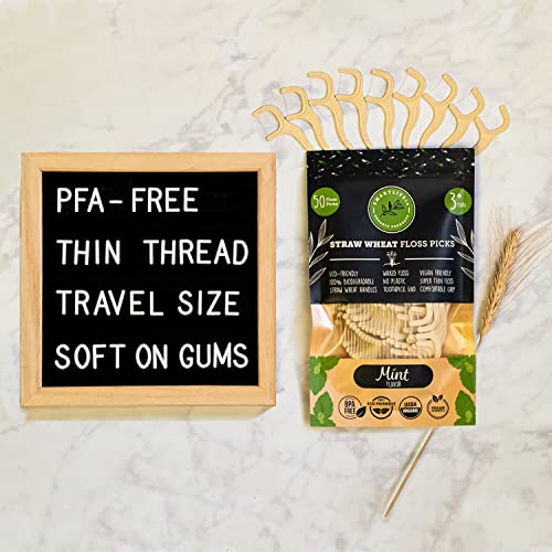 Biodegradable Dental Floss Picks - Natural Plastic Free Handle | Thin Thread ...