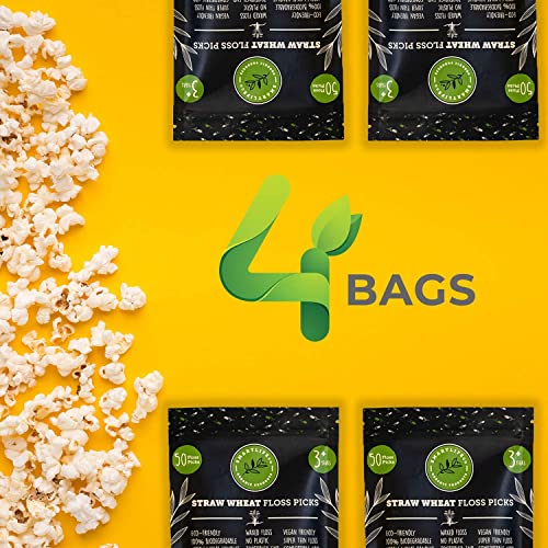 Biodegradable Dental Floss Picks - Natural Plastic Free Handle | Thin Thread ...