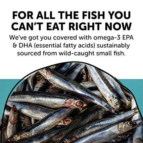 SmartyPants Prenatal Formula Daily Gummy Multivitamin: Vitamin C, D3, & Zinc ...