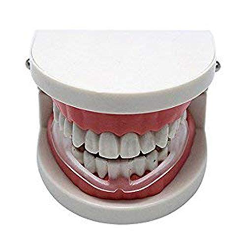 30 Pk DAILY TMJ Mouth Guard Nighttime Anti Teeth-Grinding Dental Guard - Read...