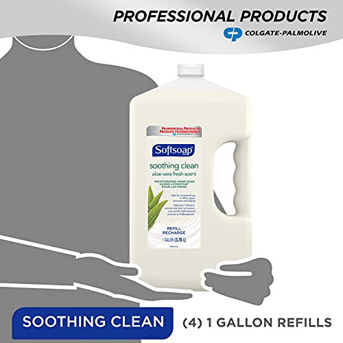 SOFTSOAP Hand Soap Refill Gallon (128 Fluid Ounces | Case of 4), Aloe Vera Fr...