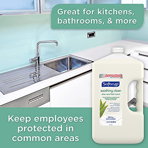 SOFTSOAP Hand Soap Refill Gallon (128 Fluid Ounces | Case of 4), Aloe Vera Fr...