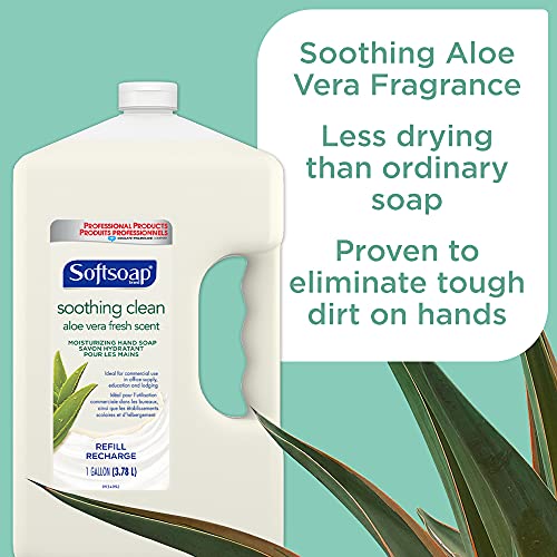 SOFTSOAP Hand Soap Refill Gallon (128 Fluid Ounces | Case of 4), Aloe Vera Fr...