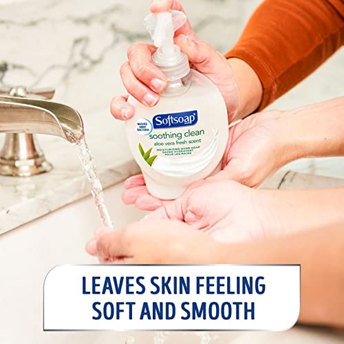 Softsoap Moisturizing Liquid Hand Soap, Soothing Clean Aloe Vera - 7.5 Fluid ...