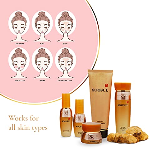 Soosul Fabulous Five Piece Anti-Aging Skin Care Set | Foam Cleanser, Skin Ton...