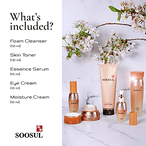 Soosul Fabulous Five Piece Anti-Aging Skin Care Set | Foam Cleanser, Skin Ton...