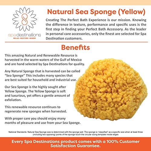 Natural Sea Sponge Small 4-5" by Spa Destinations®"Creating The Perfect Bath ...