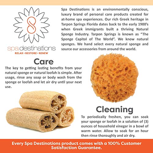 Natural Sea Sponge Small 4-5" by Spa Destinations®"Creating The Perfect Bath ...