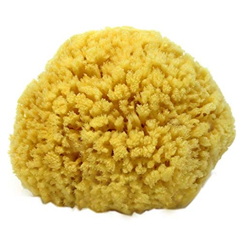 Natural Sea Sponge Small 4-5" by Spa Destinations®"Creating The Perfect Bath ...