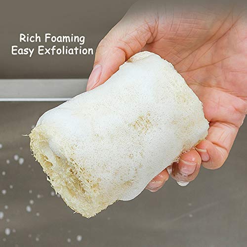 Spclsim Bath Brush Set Shower Brush Body Scrubber Brush Back Scrubber for Sho...