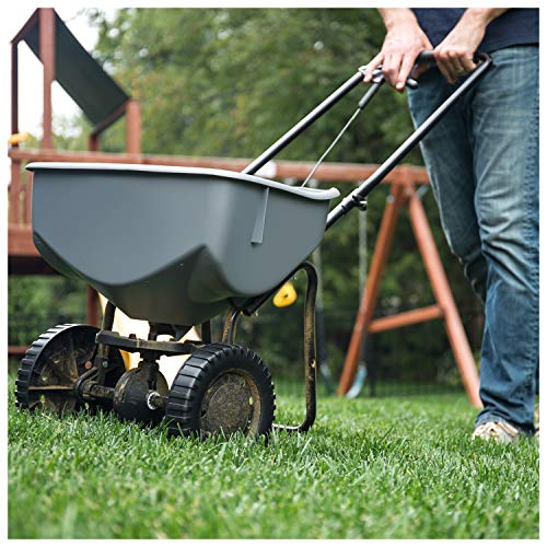 Spectracide Triazicide Insect Killer For Lawns Granules, 10-Pound