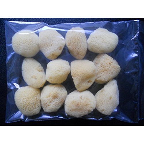 Natural Sea Silk Sponges - by Sponge Producers Naturals