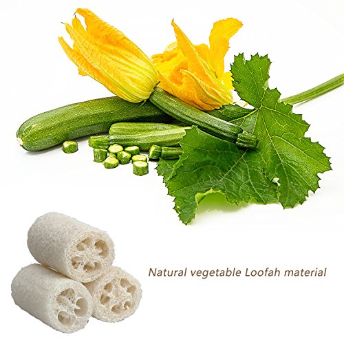 6 Packs Exfoliating Loofah Pads,Loofah Sponge Scrubber Brush Close Skin for M...