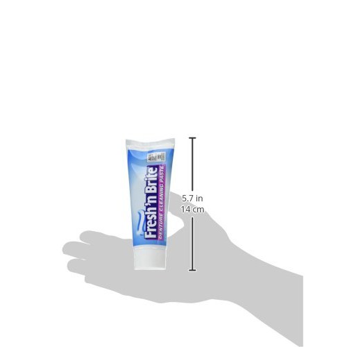 Fresh 'n Brite Denture Cleaning Paste, 3.8 Ounce (Pack of 2)