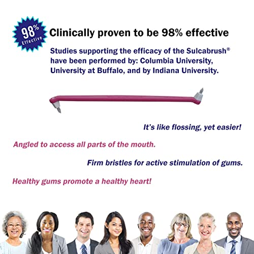 Sulcabrush Handle (pack of 3)