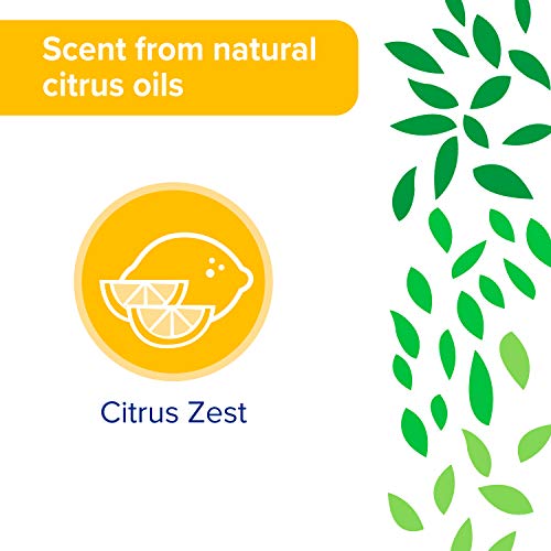 All Purpose Cleaner Wipes Bulk by Sun & Earth, 480 total wipes, Pack of 6, Al...