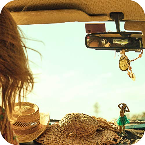 Sun Bum SPF 30 Sunscreen Lip Balm | Vegan and Cruelty Free Broad Spectrum UVA...