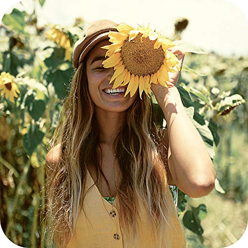 Sun Bum Tinted Lip Balm Sand Bar | SPF 15 | UVA / UVB Broad Spectrum Protecti...