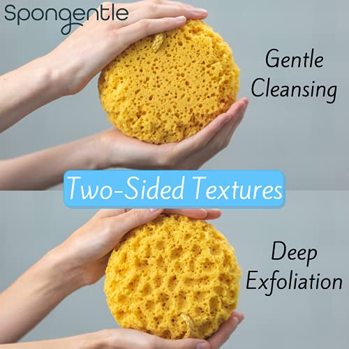 Spongentle Ultra Soft Body Loofah Sponge, for Bath and Shower, Multiple Textu...