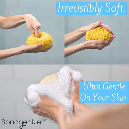 Spongentle Ultra Soft Body Loofah Sponge, for Bath and Shower, Multiple Textu...